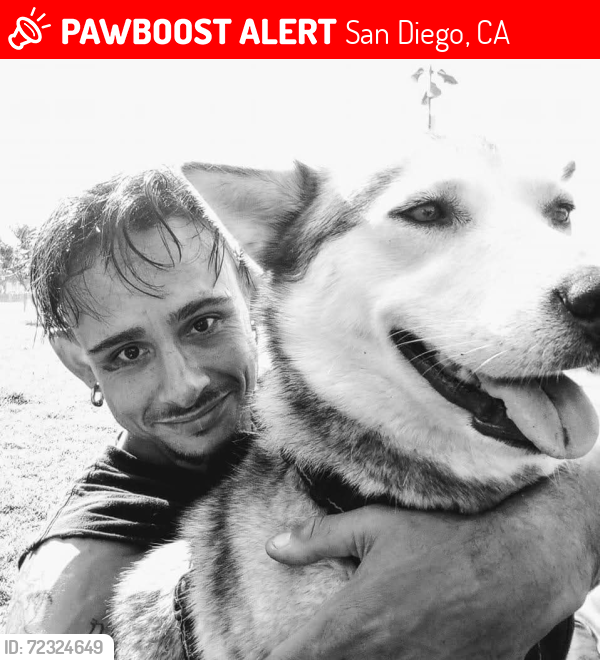 Lost Female Dog last seen J and 14th, San Diego, CA 92101