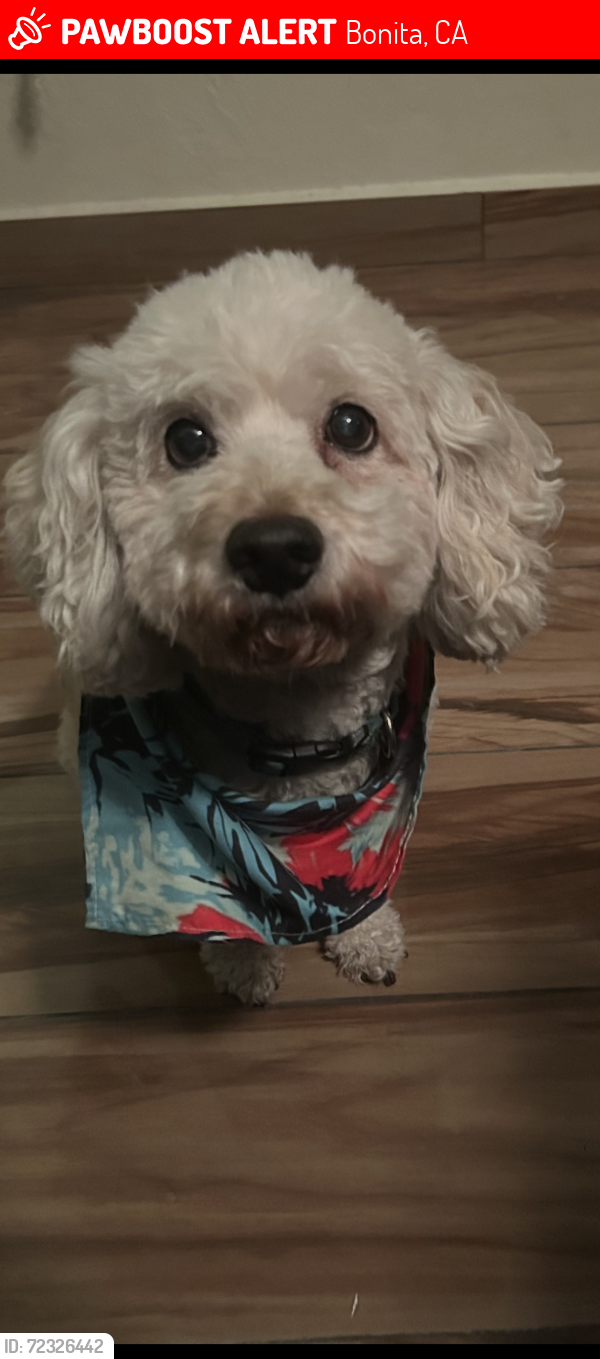 Lost Male Dog last seen Rohr Park, Bonita, CA 91902
