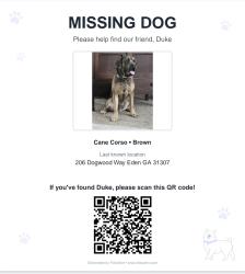 Lost Male Dog last seen Highway 80, Sandhill road Dogwood way , Eden, GA 31307