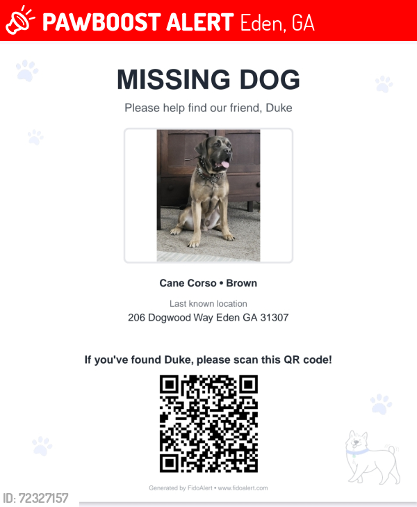 Lost Male Dog last seen Highway 80, Sandhill road Dogwood way , Eden, GA 31307