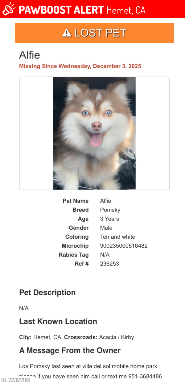 Lost Male Dog last seen Acacia and kirby, Hemet, CA 92545