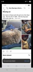Lost Female Cat last seen 138th and 24th, Dorr, MI 49323