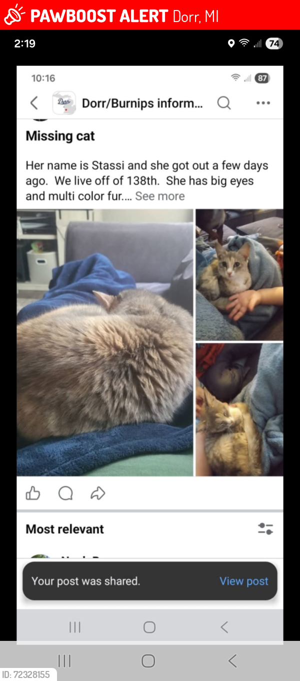 Lost Female Cat last seen 138th and 24th, Dorr, MI 49323