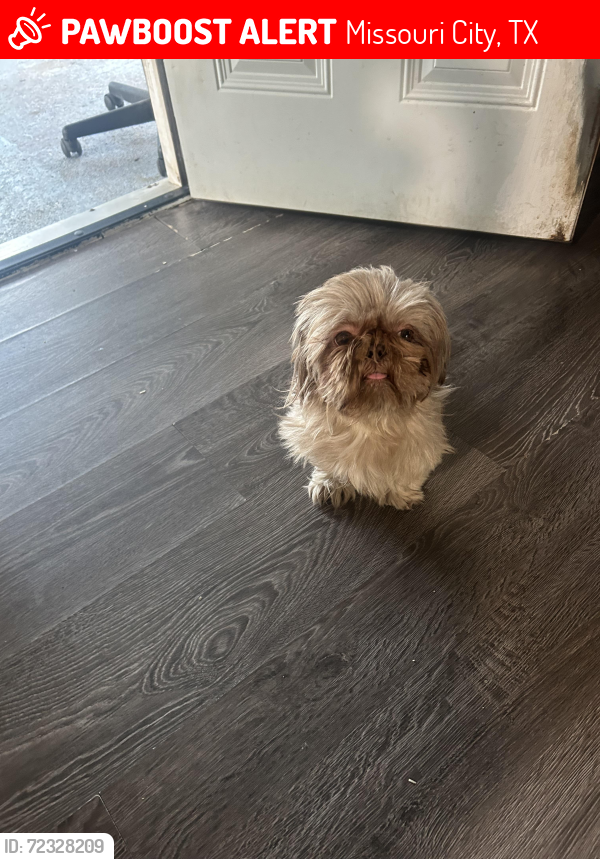 Lost Male Dog last seen Artwood Lane, Missouri City, TX 77489