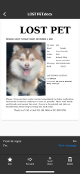 Lost Male Dog last seen Stenson and Gilbert, Hemet, CA 92543