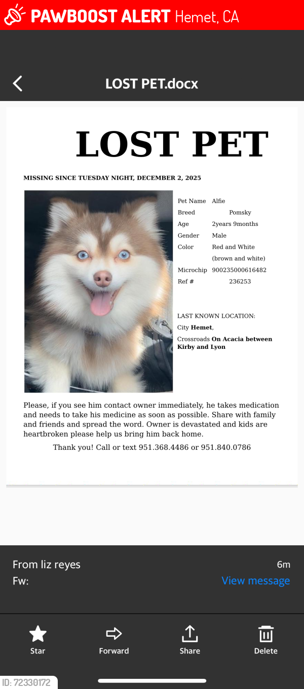 Lost Male Dog last seen Stenson and Gilbert, Hemet, CA 92543