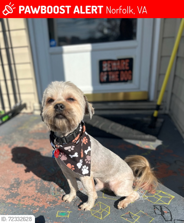 Lost Male Dog last seen Cromwell dr, Norfolk, VA 23513