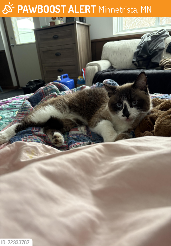 Found/Stray Unknown Cat last seen Co rd 110 No, Minnetrista, MN 55364