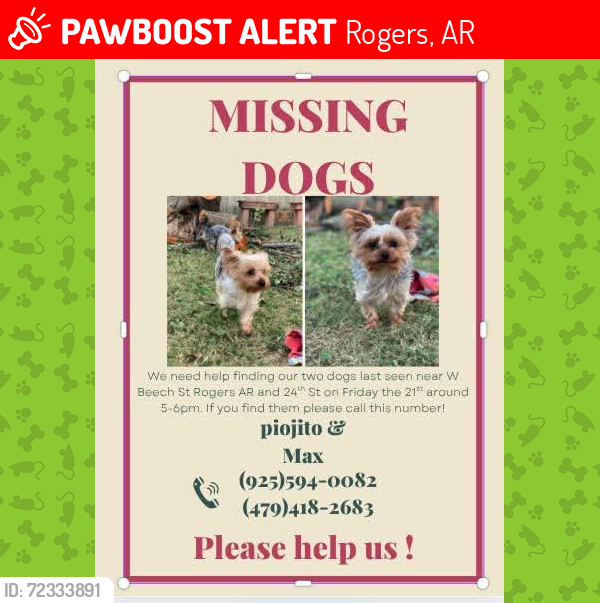 Lost Male Dog last seen 24st, Rogers, AR 72756