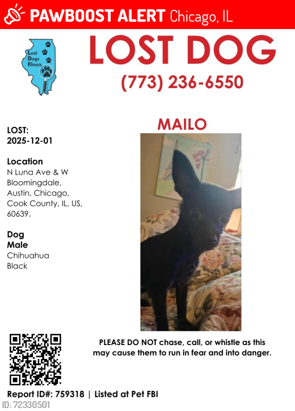 Lost Male Dog last seen Near N Luna Ave, Chicago, IL 60639
