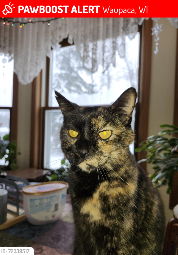 Lost Female Cat last seen Cobbstown, Waupaca, WI 54981