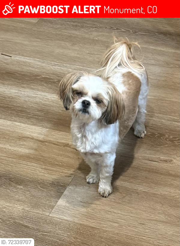 Lost Female Dog last seen Willow Ranch, Monument, CO 80132