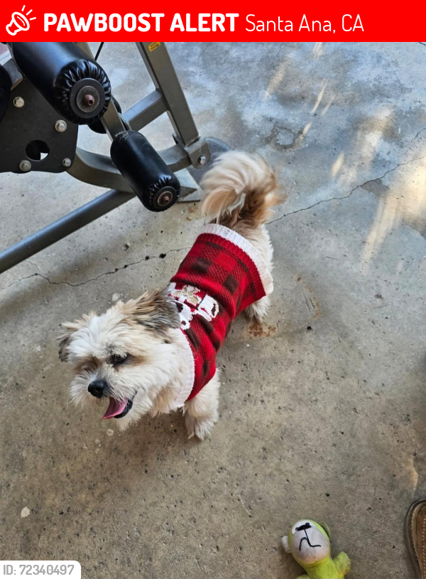 Lost Unknown Dog last seen Bristol & Central, Santa Ana 93704, Santa Ana, CA 92704