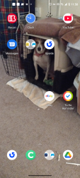 Lost Male Dog last seen Near hickleberry Street , Clifton, TX 76634