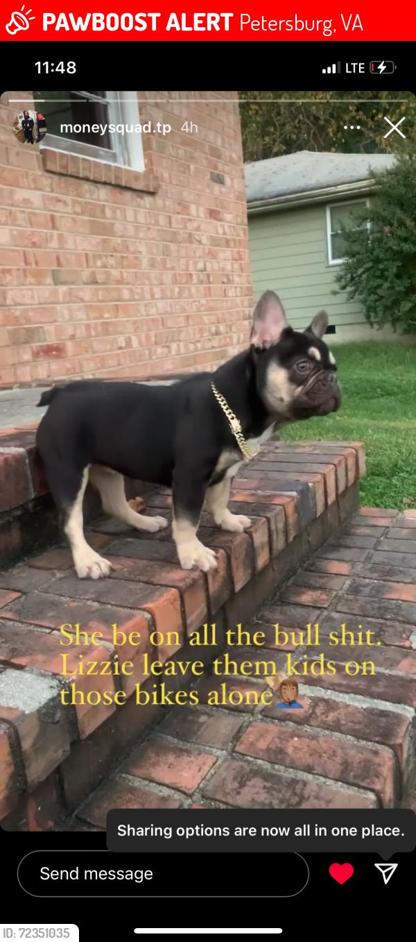 Lost Female Dog last seen Mars street, Petersburg, VA 23803