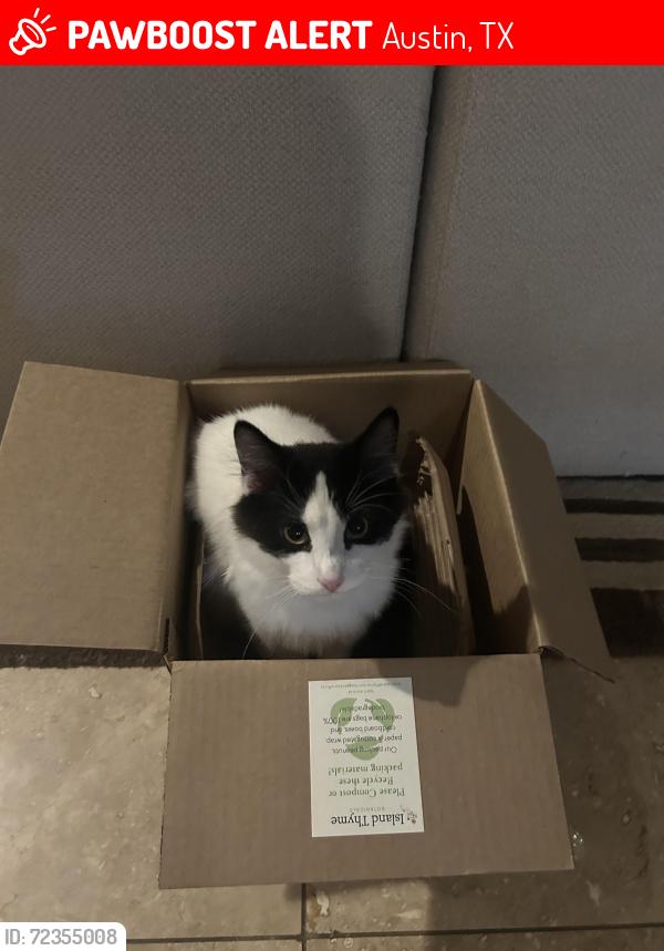 Lost Male Cat last seen Jacks Pass and Running Deer, Austin, TX 78734