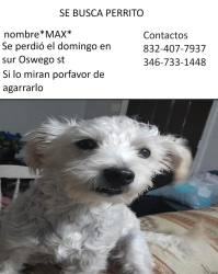 Lost Male Other last seen Near N Oswego St, Houston, TX 77029, Houston, TX 77029