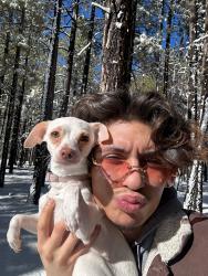 Lost Female Dog last seen Taco Bell or the qt or anywhere in that area , Phoenix, AZ 85017