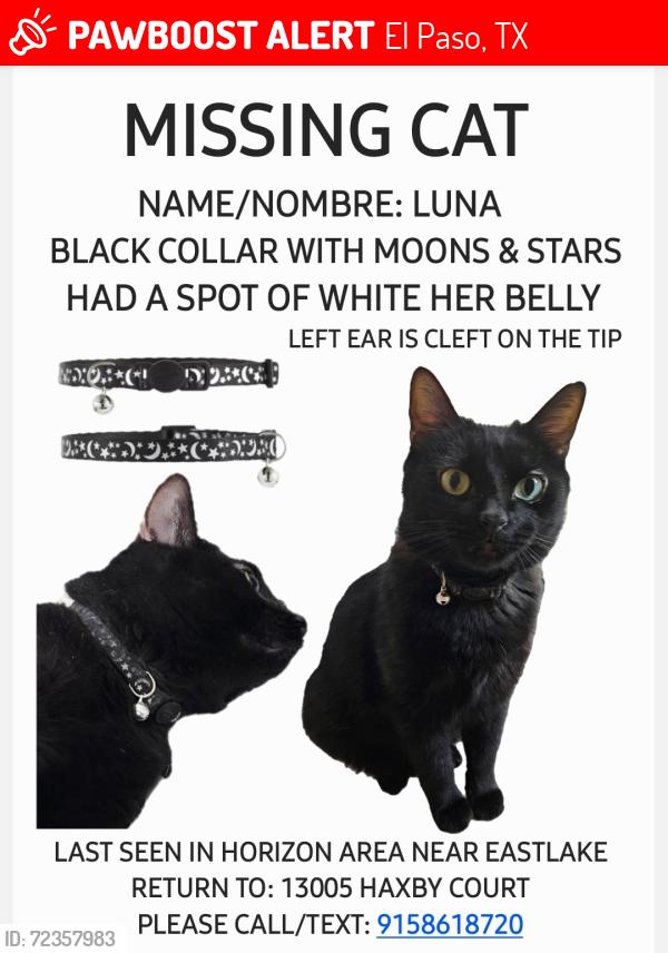 Lost Female Cat last seen Eastlake, El Paso, TX 79928