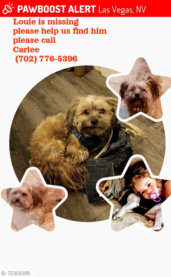 Lost Male Dog last seen Prosperity park area, Spring Valley, NV 89147