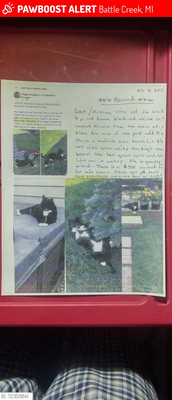 Lost Female Cat last seen Alden St and Jericho Rd, Battle Creek, MI 49014