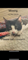 Lost Male Cat last seen Freedom drive Madison apmts , Enterprise, AL 36330