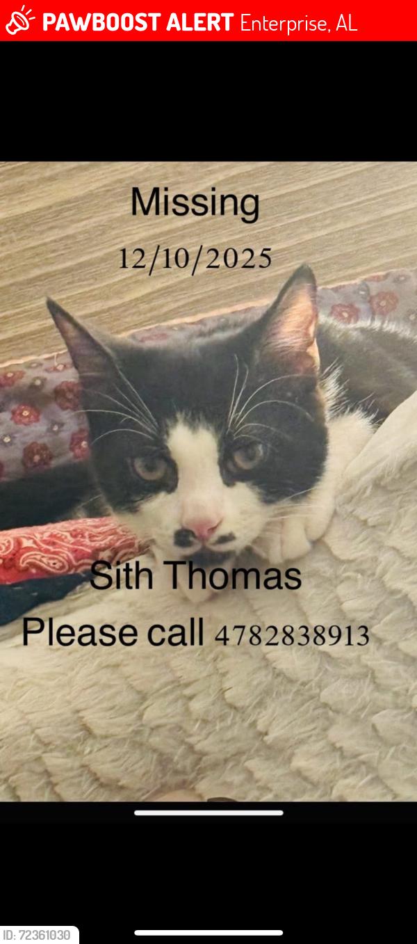 Lost Male Cat last seen Freedom drive Madison apmts , Enterprise, AL 36330