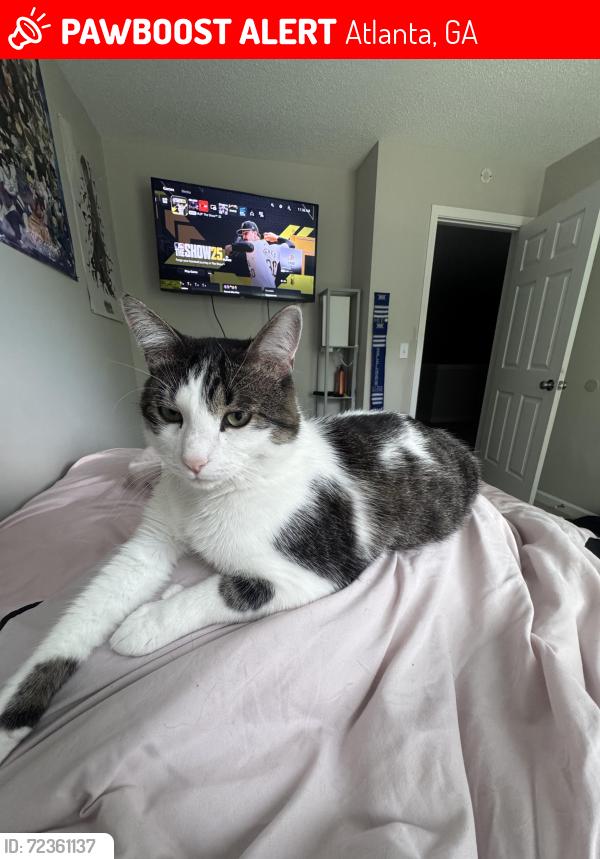 Lost Male Cat last seen brookstone rd, Atlanta, GA 30349