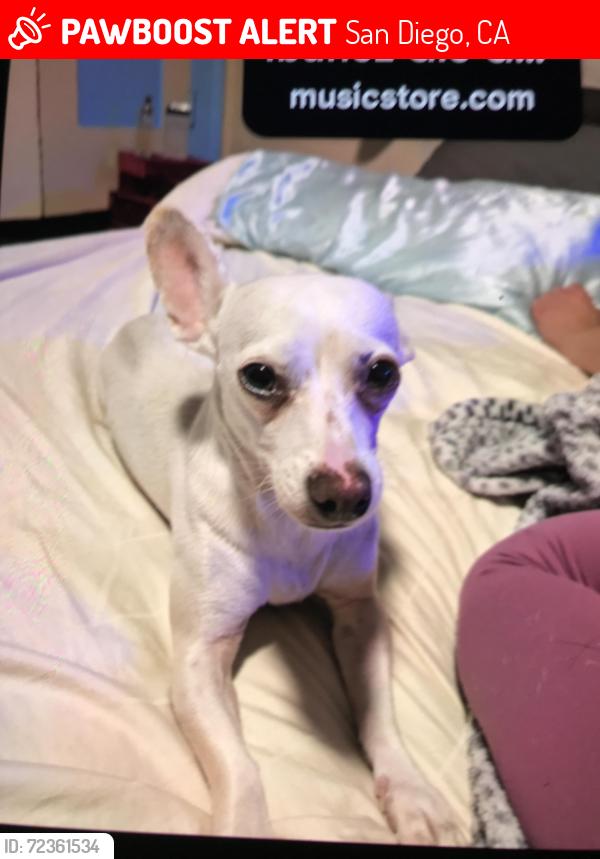 Lost Female Dog last seen City height on fairmont ave across street from starbucks and McDonald’s , San Diego, CA 92105