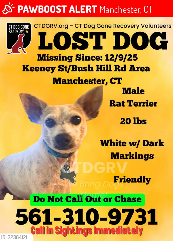 Lost Male Dog last seen Bush hill road, Manchester, CT 06040