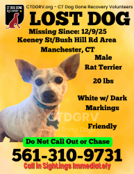 Lost Male Dog last seen Bush hill road, Manchester, CT 06040
