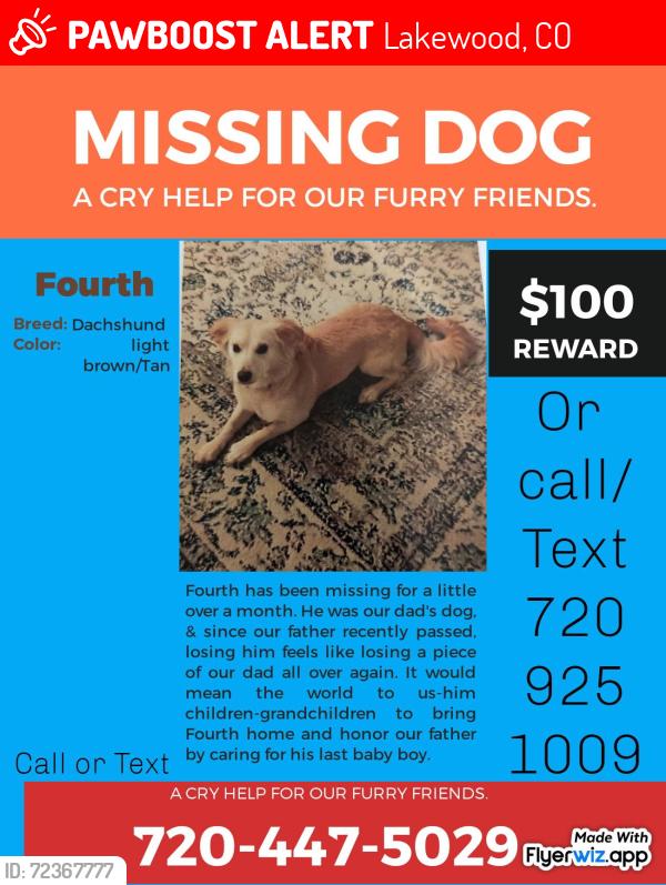 Lost Male Dog last seen S 5 th and Sheridan blvd, Lakewood, CO 80226