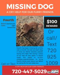 Lost Male Dog last seen S 5 th and Sheridan blvd, Lakewood, CO 80226
