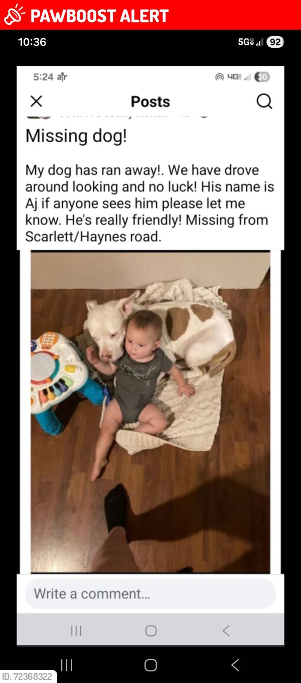 Lost Male Dog last seen Exit 412, Jefferson County, TN 37725