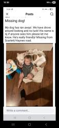 Lost Male Dog last seen Exit 412, Jefferson County, TN 37725