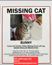 Lost Female Cat last seen The area behind Buliding 9 - Hidden Oaks apartments and around the houses on George Road, San Antonio, TX 78231