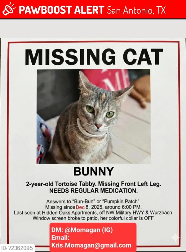 Lost Female Cat last seen The area behind Buliding 9 - Hidden Oaks apartments and around the houses on George Road, San Antonio, TX 78231