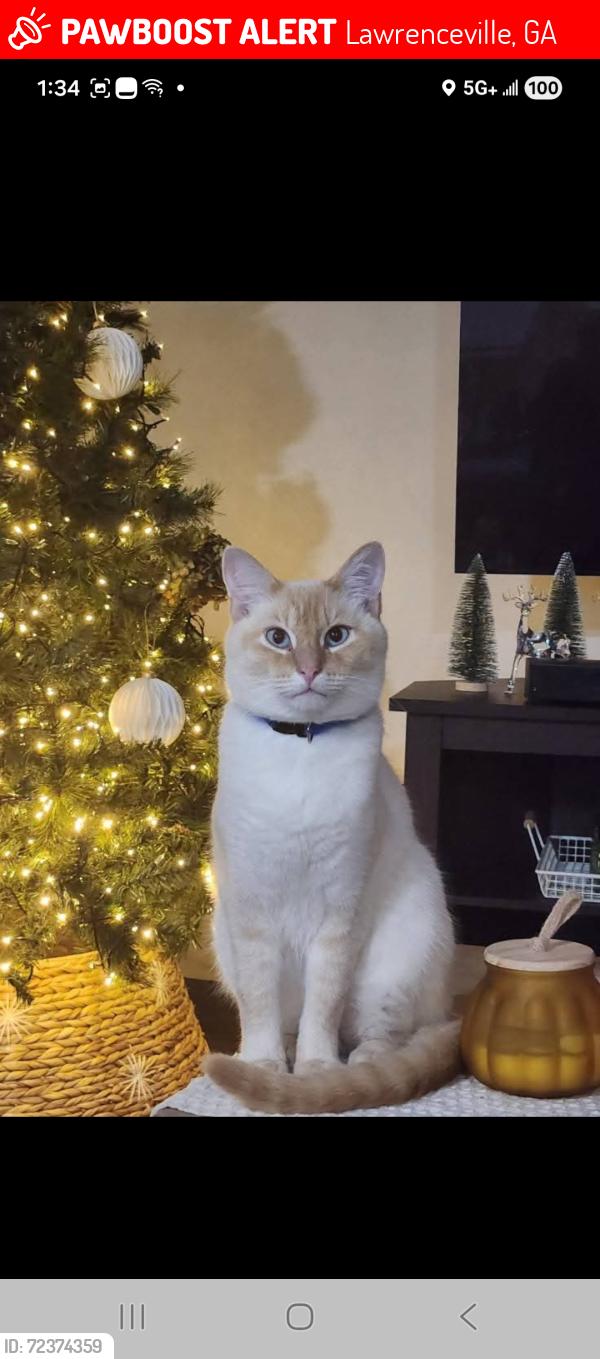 Lost Male Cat last seen Simonton at tabernacle church, Lawrenceville, GA 30046