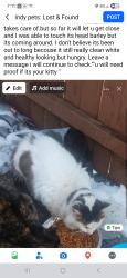Found/Stray Unknown Cat last seen Southeastern, trowbridge , Indianapolis, IN 46201