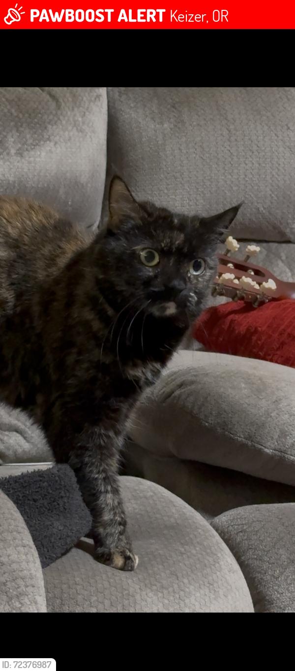 Lost Female Cat last seen Stone Mason Ln NE, Keizer, OR 97303