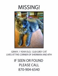 Lost Male Cat last seen 8th St and Sherman, near MacArthur Park , Little Rock, AR 72202