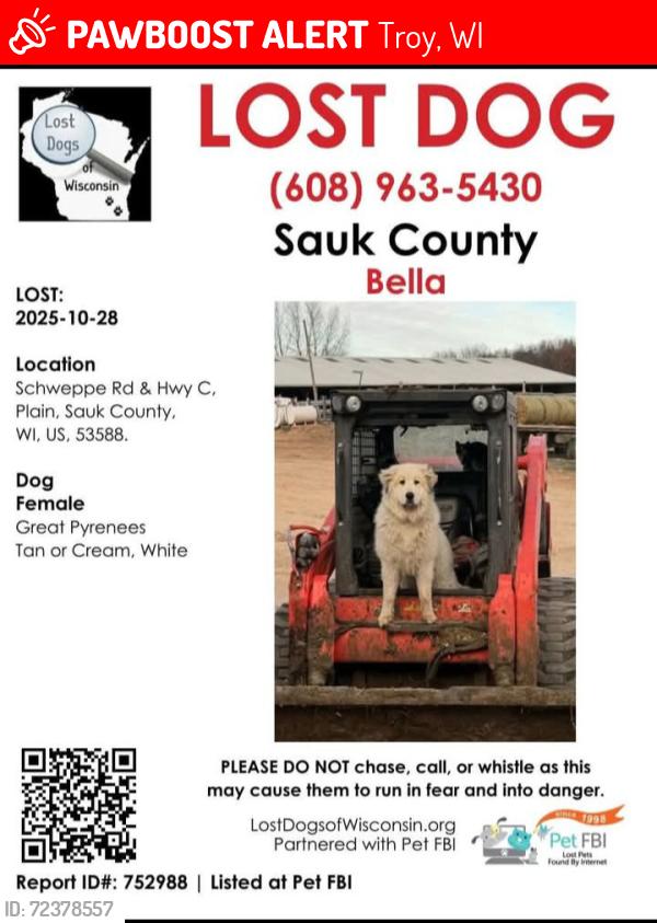 Lost Female Dog last seen Schweppe rd & Hwy C, Troy, WI 53588