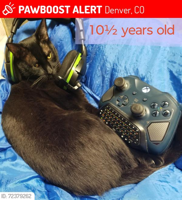 Lost Male Cat last seen S Lincoln St & E Wesley Ave, Denver, CO 80210, USA, Denver, CO 80210