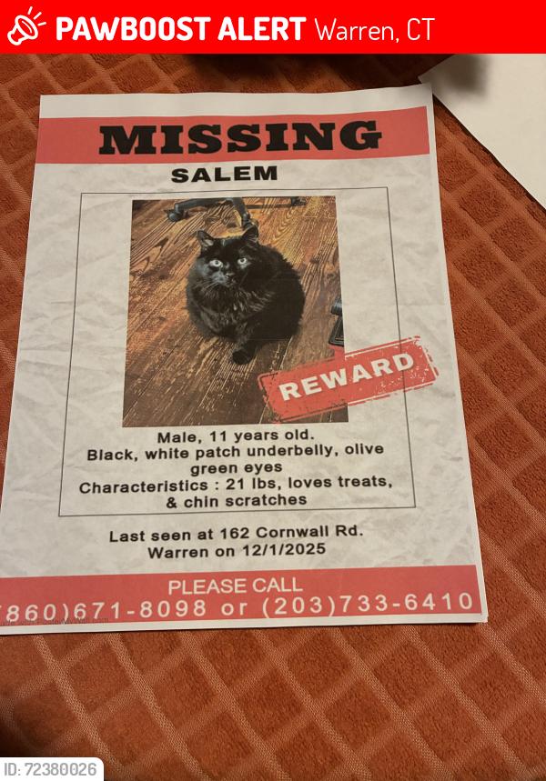 Lost Male Cat last seen Between Keith Rd & Brick School Rd, Warren, CT 06754