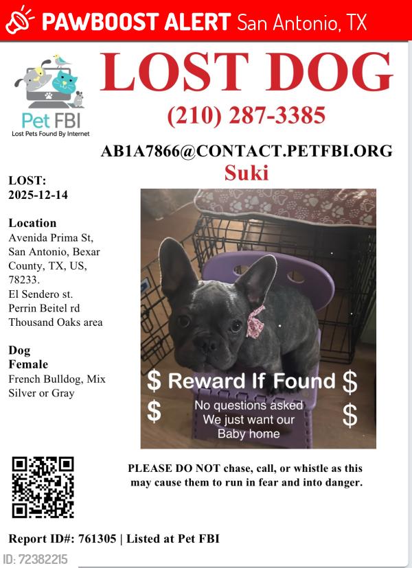 Lost Female Dog last seen Capotillo st , el sendero st, , San Antonio, TX 78233
