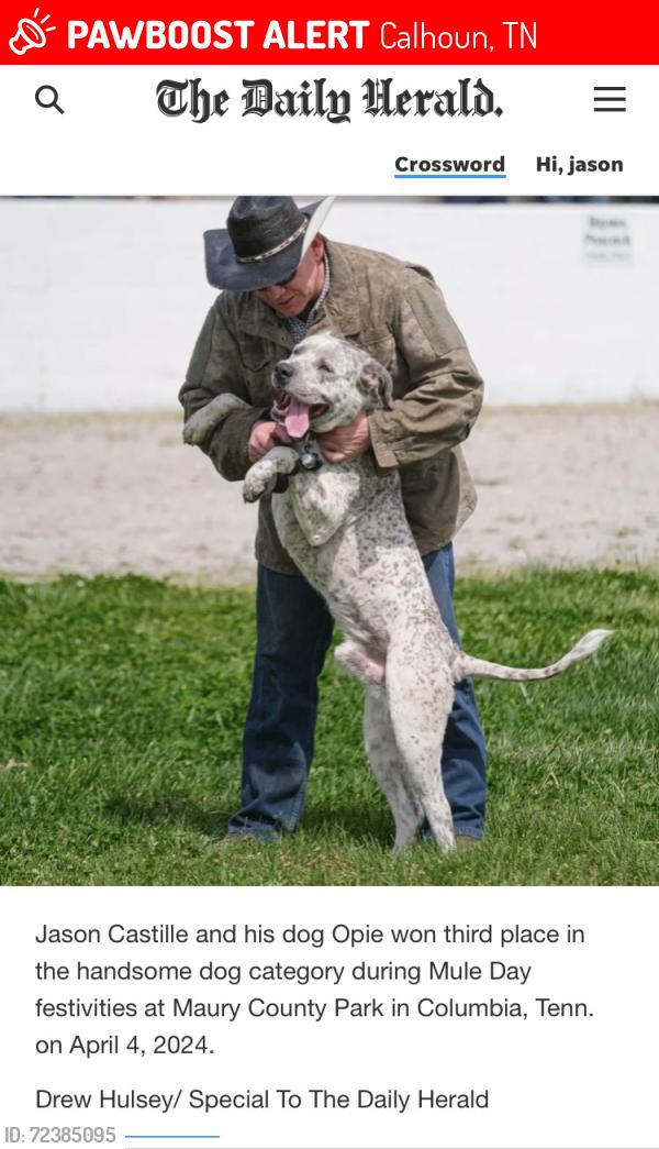 Lost Male Dog last seen Athens road, Calhoun, TN 37309