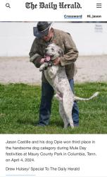 Lost Male Dog last seen Athens road, Calhoun, TN 37309