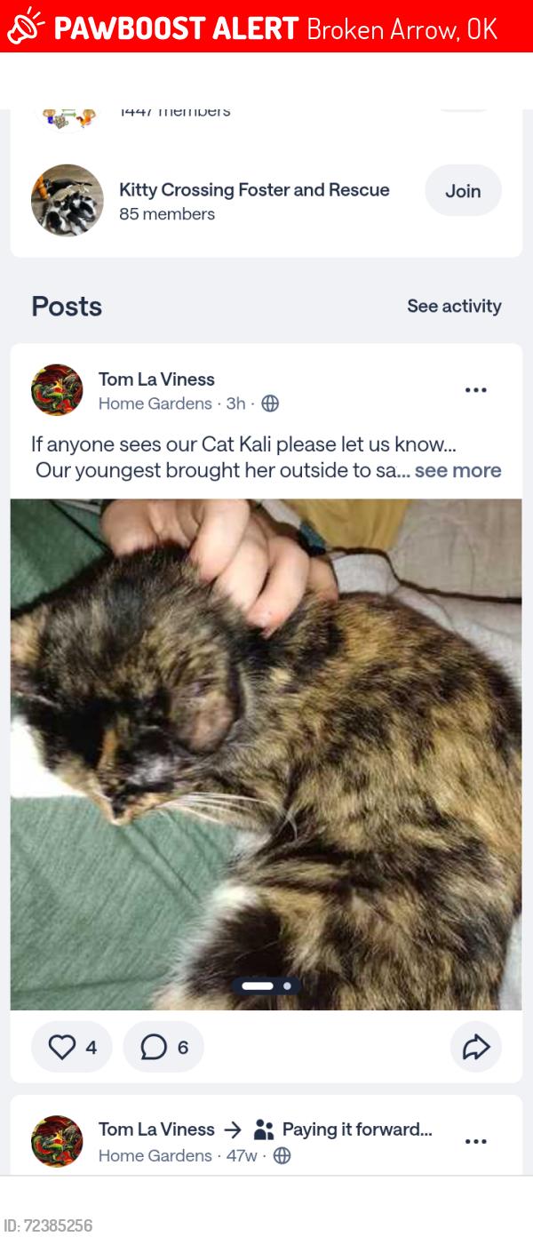 Lost Female Cat last seen Elm and birch near main Street. Near PAC, Broken Arrow, OK 74012