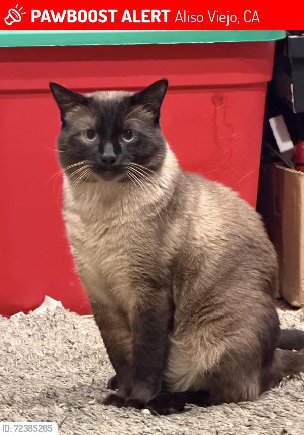 Lost Male Cat last seen Sandbridge & Highpoint, Aliso Viejo, CA 92656