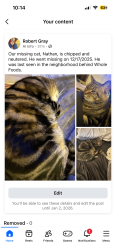 Lost Male Cat last seen McEwen, Washington Township, OH 45458